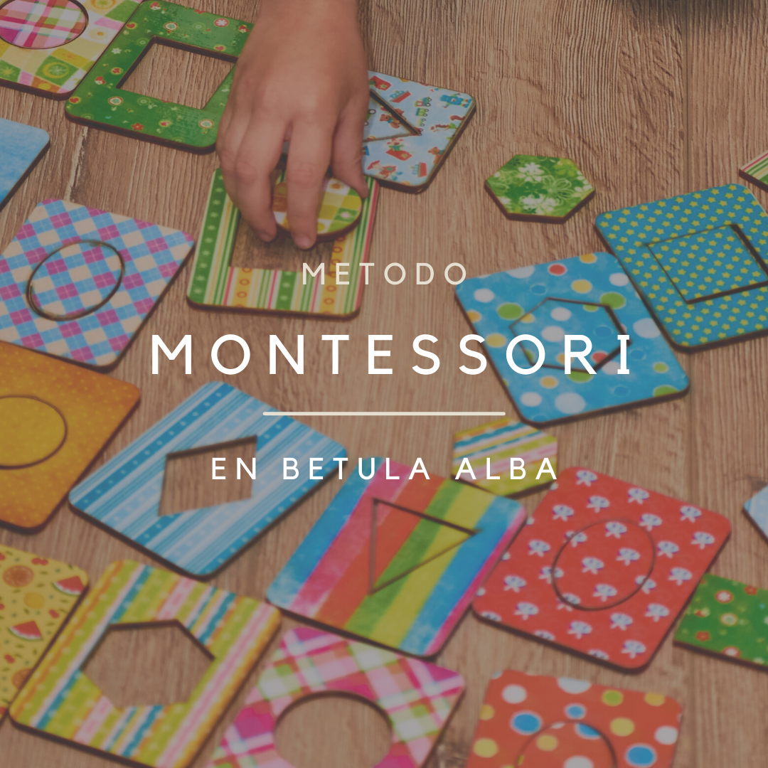 TALLER MONTESSORI