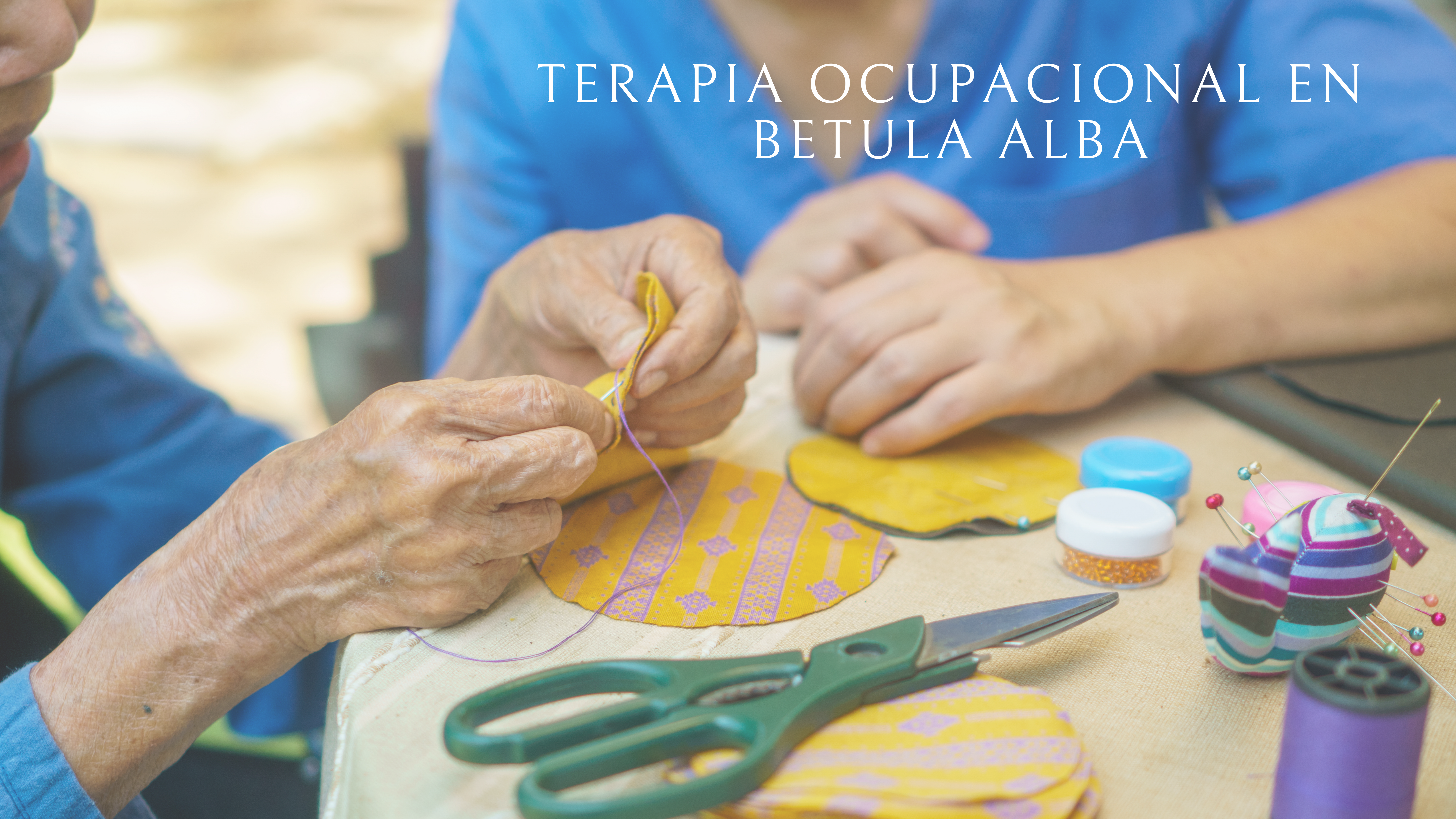 Terapia ocupacional en Betula Alba